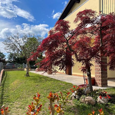 Casa Giulia Villa Monzambano Eksteriør bilde